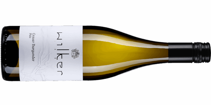 Flasche 2024 Grauer Burgunder trocken